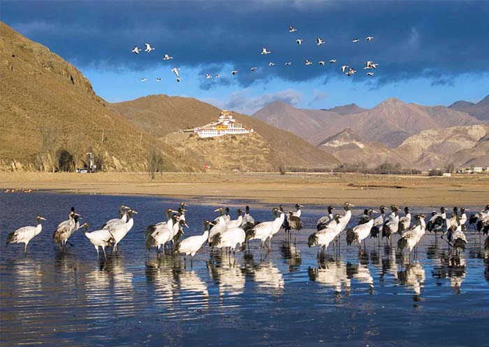 X2線-【雪頓曬佛】拉薩羊湖日喀則珠峰9日祈願之旅